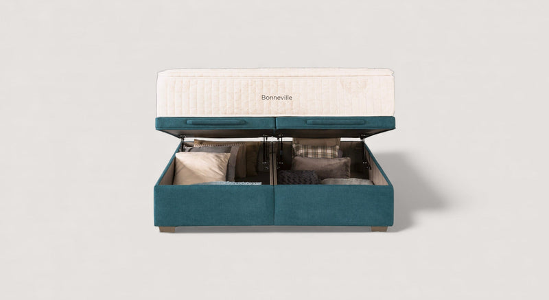 Pack CABOURG Bronx Pétrol